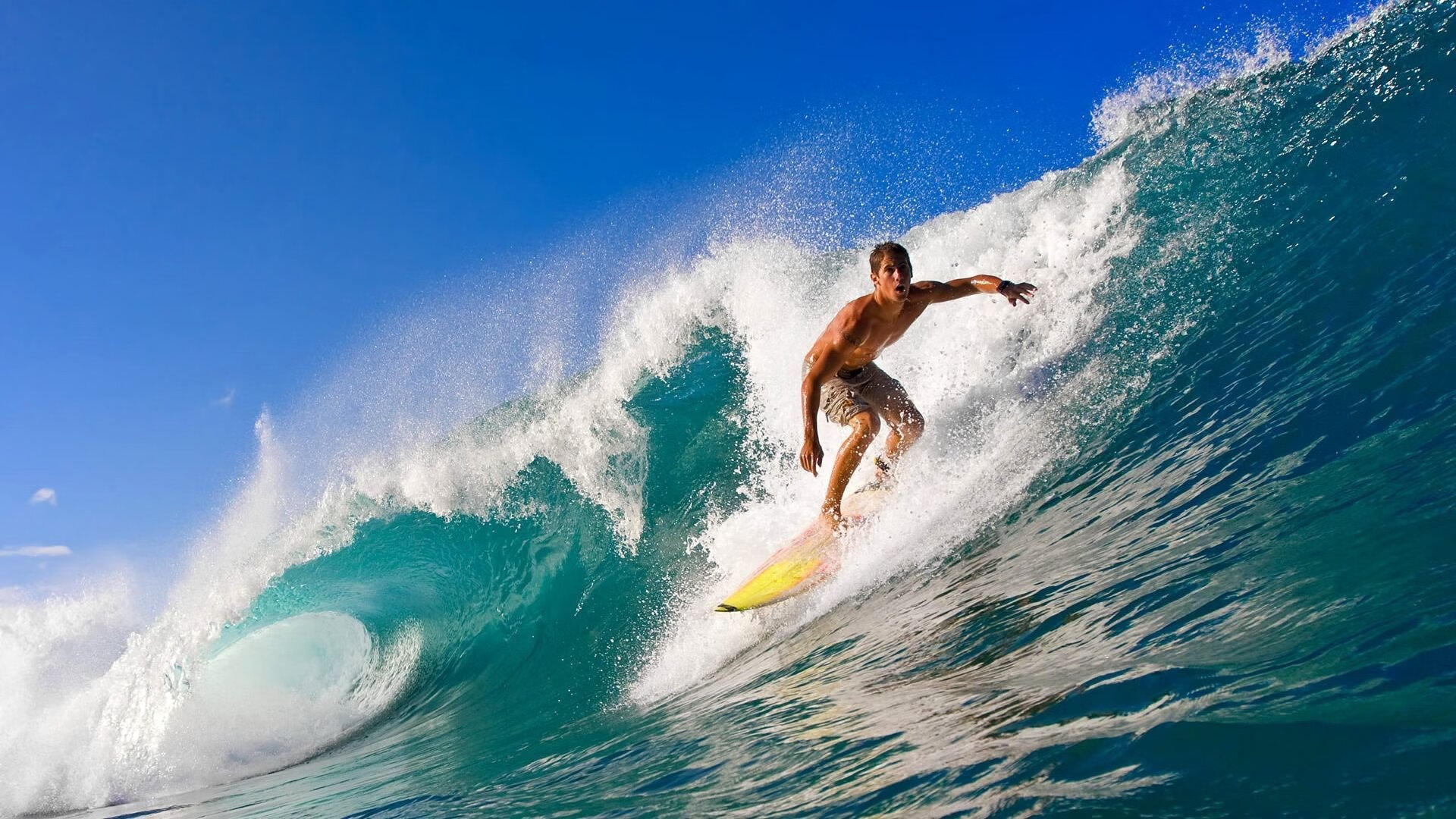 开云APP-乒乓智慧点燃绿茵传奇，张继科跨界助法国队逆转葡萄牙